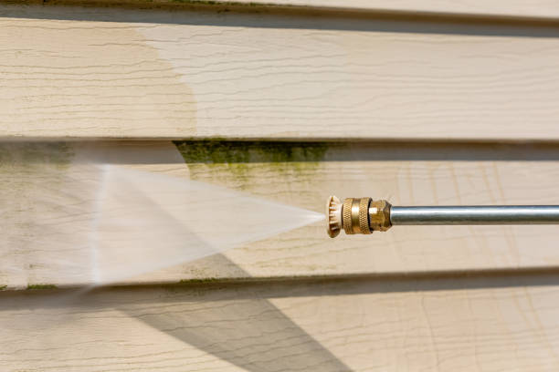 Best Roof Power Washing Services  in Island Park, NY